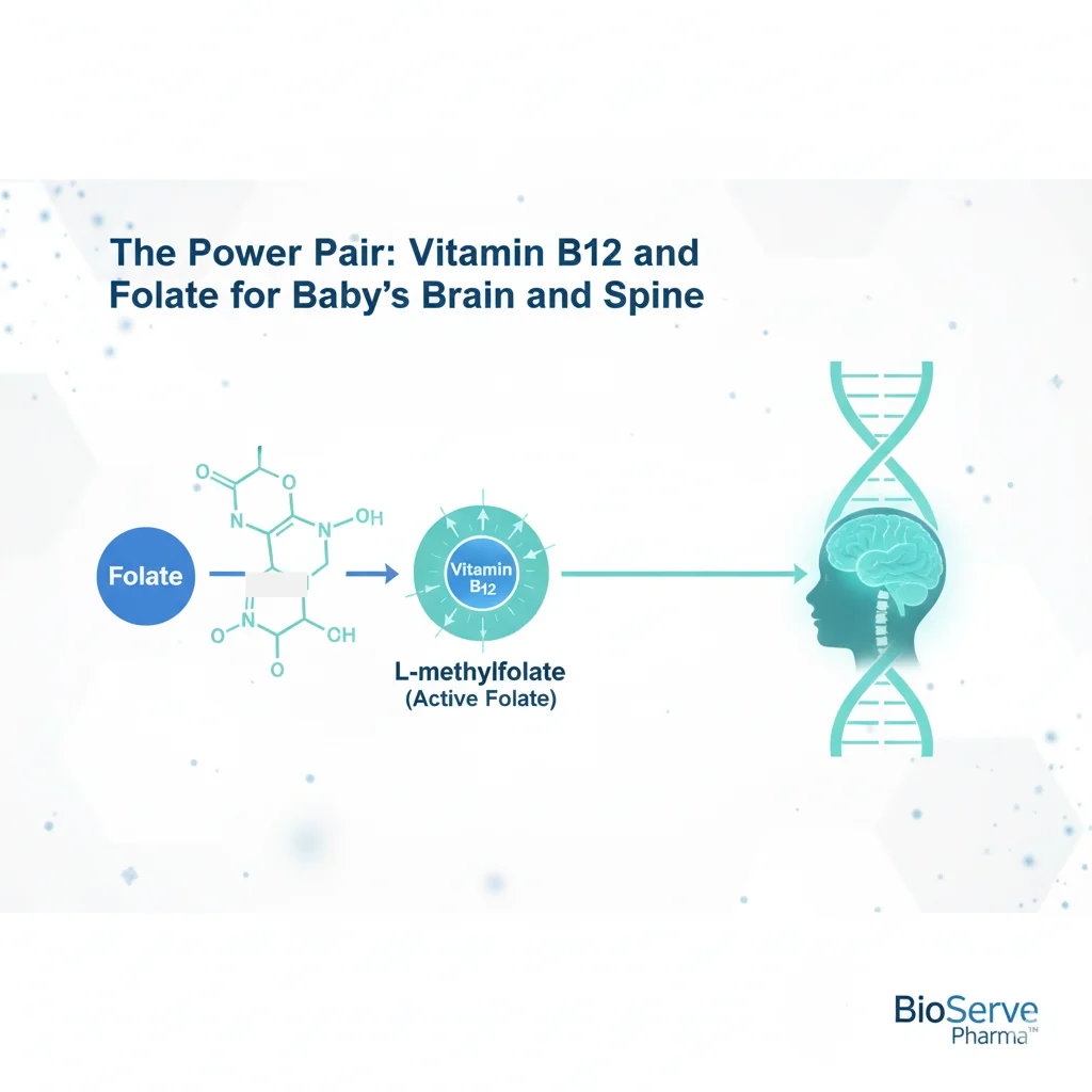 vitamin B12 prenatal, folate supplement for women, folate B12 deficiency, vegan pregnancy nutrition, active folate